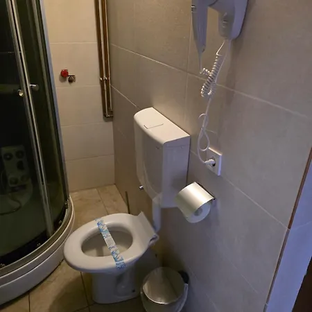 Guest house Casa Brutarului Crit